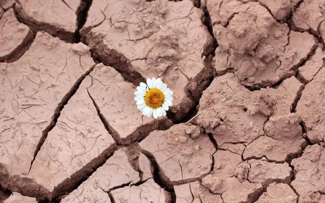 Resilience: It’s Not Just for Superheroes